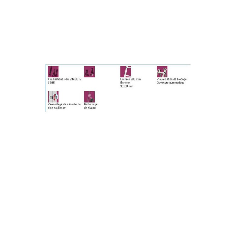 Echelle transformable 2 plans  2.36/4.04